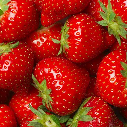 Barre FiguActive saveur fraise yaourt : fraises