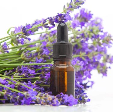 Huile Essentielle de Lavande : Dangers, Précautions et Utilisation Sécurisée